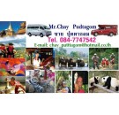 Chay Red Car Service ชายสองแถวแดงและรถตู้บริการนําเที่ยวเชียงใหม่